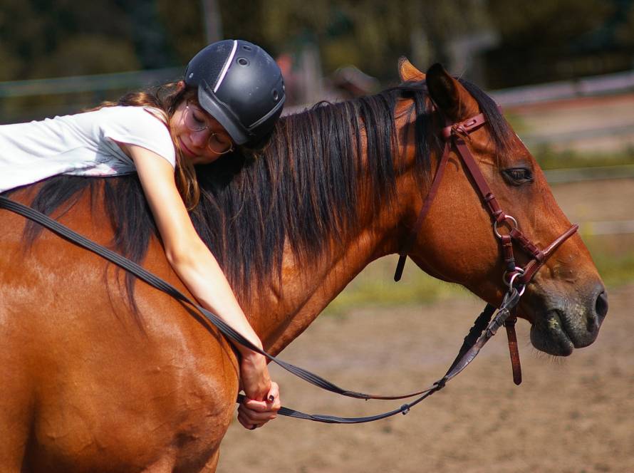 Reiterin mit Pferd auf der Triple D Ranch vor natürlicher Landschaft – harmonische Verbindung zwischen Mensch und Pferd.