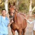 What’s the main challenge for a horseback riding student?