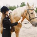 Why do we love watching wild horses so much?