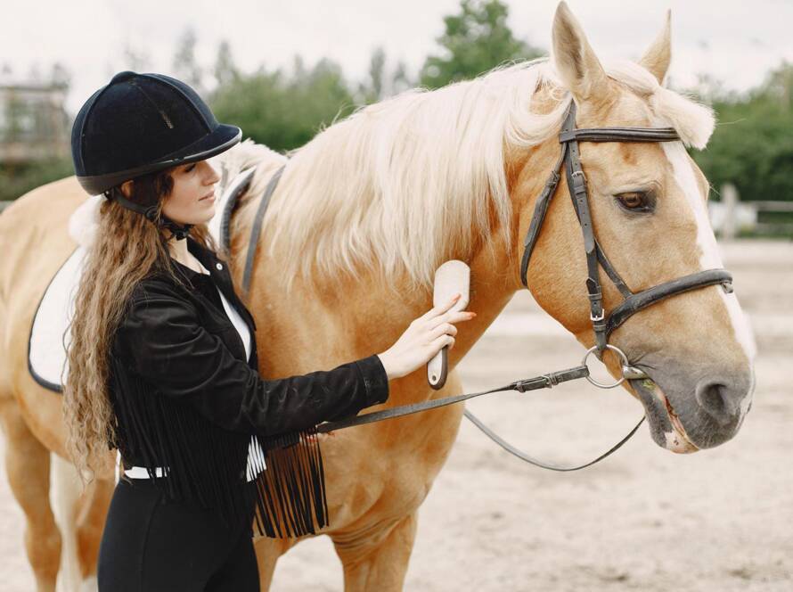 Triple D Ranch Henrike Gleißner