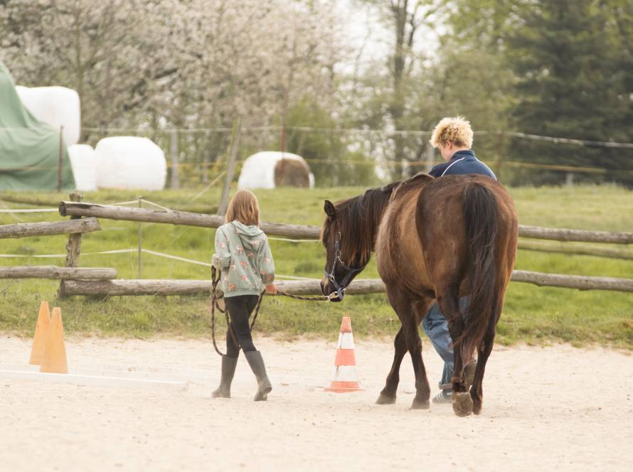 Ländliche Szene auf der Triple D Ranch mit weitläufiger Natur und typischer Ranch-Umgebung.