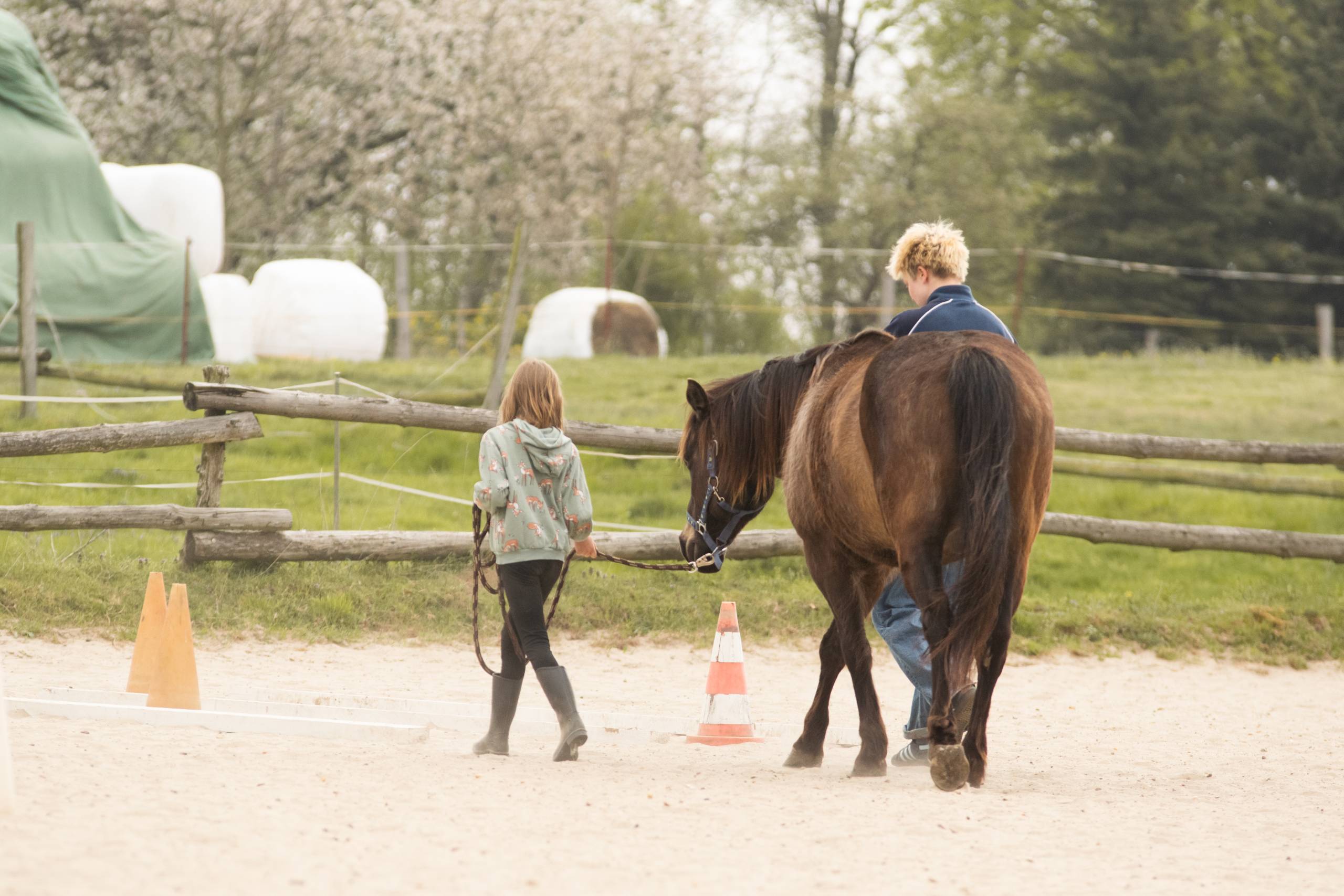 Ländliche Szene auf der Triple D Ranch mit weitläufiger Natur und typischer Ranch-Umgebung.