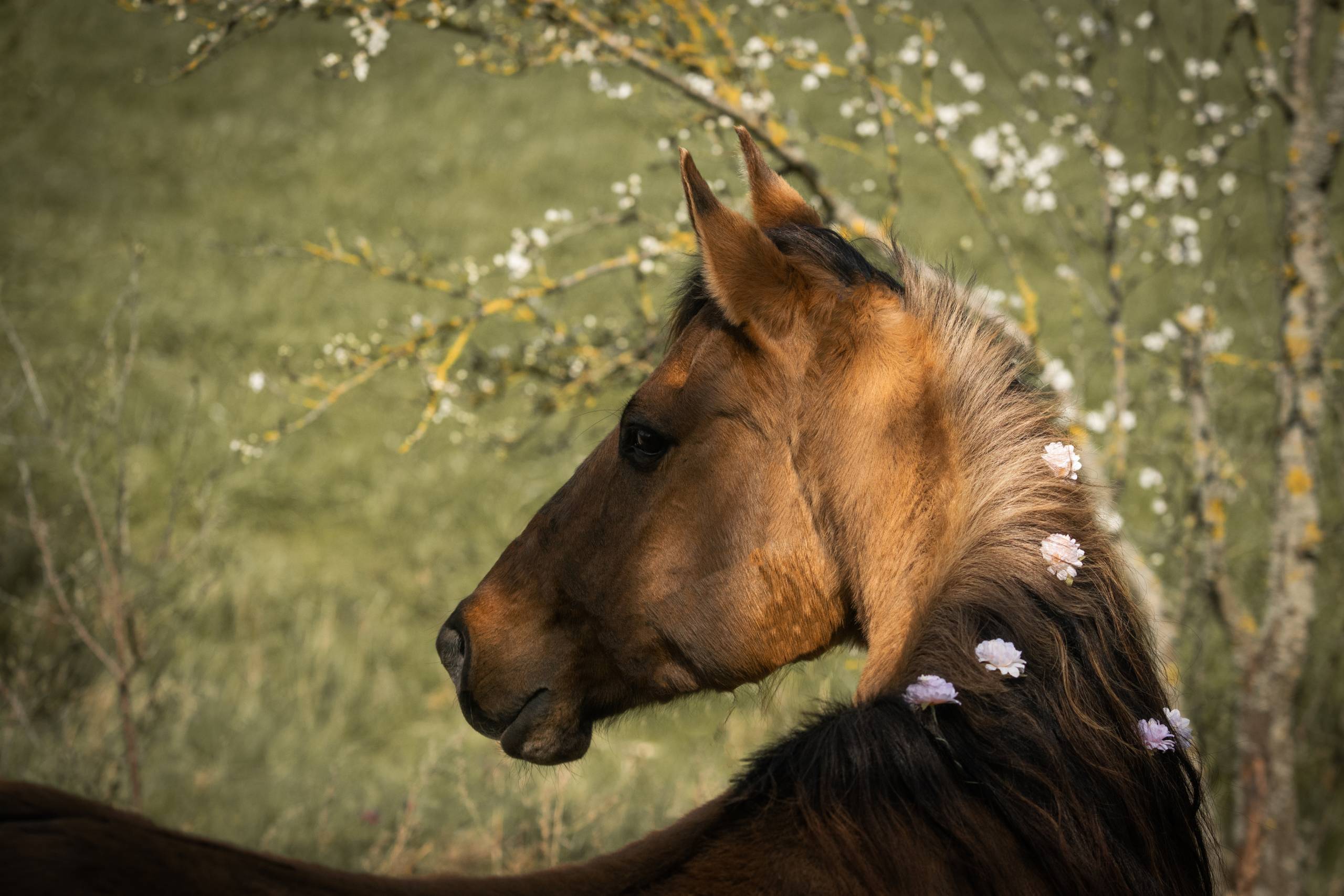 Momentaufnahme auf der Triple D Ranch mit Blick auf das Gelände und typische Elemente eines Reiterhofs in ländlicher Umgebung.