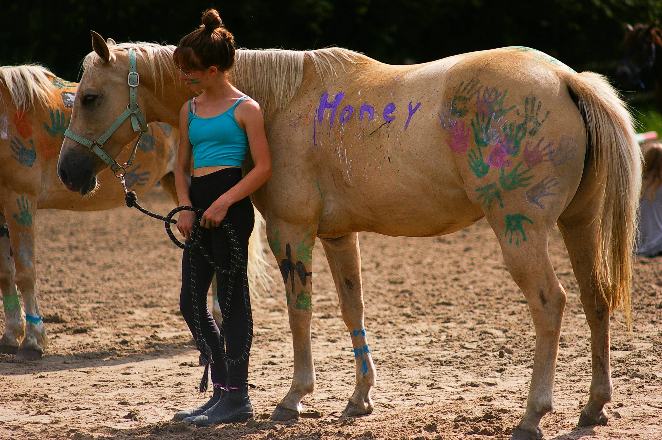 Mädchen führt ein helles Pferd auf einem Sandplatz; das Tier ist bunt bemalt mit Handabdrücken und dem Schriftzug ‚Honey‘ auf der Flanke.