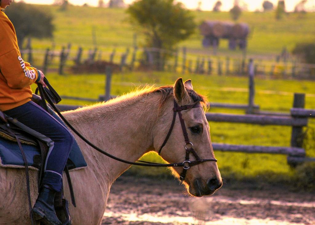 Ein Ranchgebäude im westlichen Stil mit Holzfassade und überdachter Veranda, umgeben von einem Zaun und offenem Gelände unter klarem Himmel.