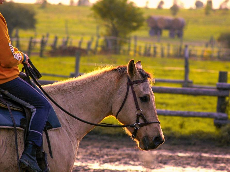 Ein Ranchgebäude im westlichen Stil mit Holzfassade und überdachter Veranda, umgeben von einem Zaun und offenem Gelände unter klarem Himmel.