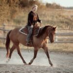 Henrike Gleißner reitet auf einem Pferd